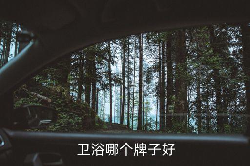 重慶陶瓷衛(wèi)浴十大名牌,衛(wèi)生陶瓷10h大c品牌列表出爐