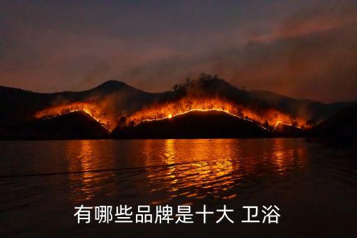 有哪些品牌是十大 衛(wèi)浴