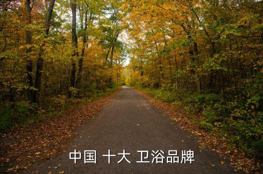 衛(wèi)浴十大品牌價,中國衛(wèi)浴十大品牌排行榜出爐