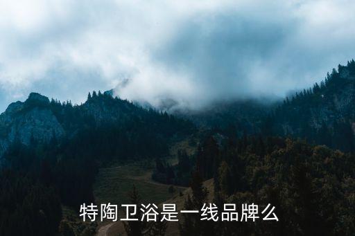  特陶衛(wèi)浴是一線品牌么