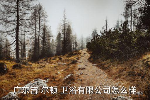 吉爾頓衛(wèi)浴,廣東吉爾頓-1/有限公司登記注冊號為2019