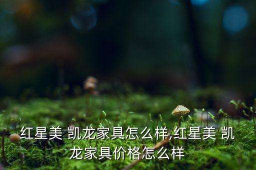紅星美 凱龍家具怎么樣,紅星美 凱龍家具價格怎么樣
