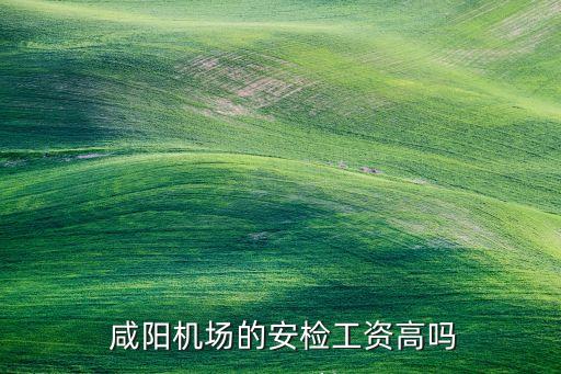 咸陽衛(wèi)浴,在黨中央領(lǐng)導(dǎo)下機(jī)場員工會(huì)不會(huì)得不到好的福利?