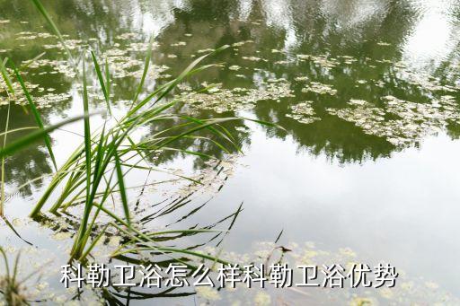 科勒衛(wèi)浴怎么樣科勒衛(wèi)浴優(yōu)勢(shì)