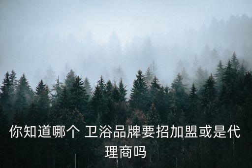 品牌衛(wèi)浴總代理,如何代理一個滿意的衛(wèi)浴品牌進行選擇?