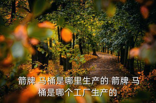 箭牌衛(wèi)浴的馬桶,智能馬桶知多少?問與答（13）