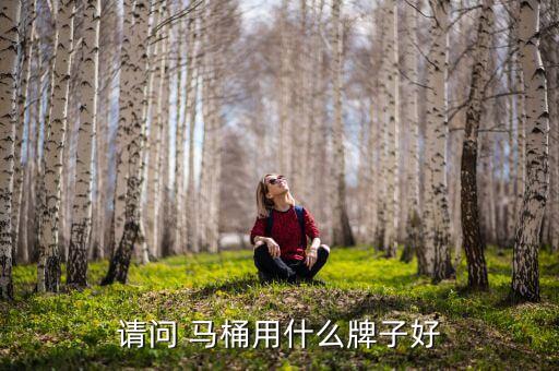 尚瓷衛(wèi)浴馬桶價(jià)格,馬桶知多少?看這里!廁所配件