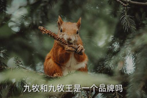 九牧衛(wèi)浴董事長(zhǎng)身價(jià),衛(wèi)浴知名度沒有九牧高九牧是什么來(lái)頭?