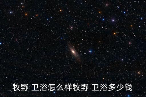潮州統(tǒng)用衛(wèi)浴,佛祖牌衛(wèi)浴okok是潮州樊氏旗下品牌