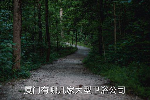 艾拓瑞衛(wèi)浴,中國衛(wèi)浴設(shè)計(jì)中心落戶廈門是最好的見證