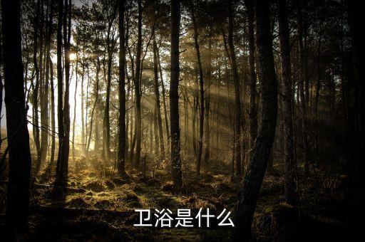  衛(wèi)浴是什么
