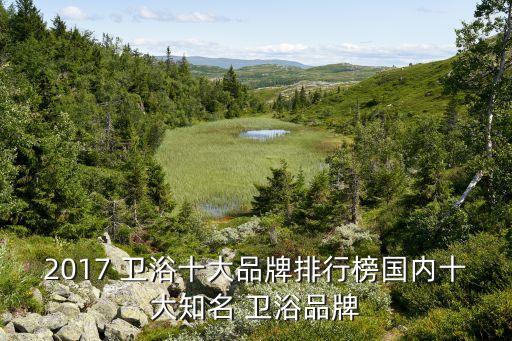 中國衛(wèi)浴發(fā)展歷程,潮流趨勢-1衛(wèi)浴產(chǎn)品家具趨勢解碼