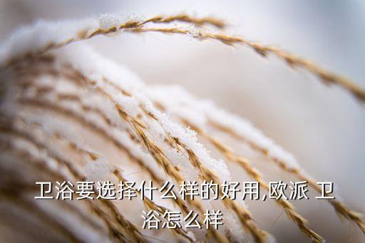 歐洲衛(wèi)浴柜,科勒衛(wèi)浴來自美國是衛(wèi)浴進入中國市場的品牌