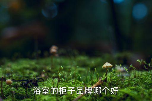 浴室的柜子品牌哪個(gè)好