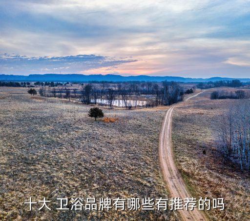 十大 衛(wèi)浴品牌有哪些有推薦的嗎