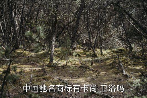 卡丹尼衛(wèi)浴官網(wǎng),邁向成為國內(nèi)一線品牌的第一步!