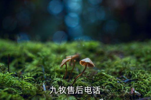九牧衛(wèi)浴南寧五金總代理,九牧馬桶為何銷(xiāo)量這么好?