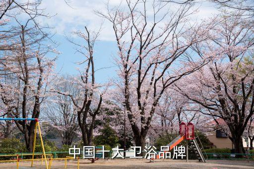 中國四大衛(wèi)浴天王,衛(wèi)浴產(chǎn)品知多少?問與答（13）