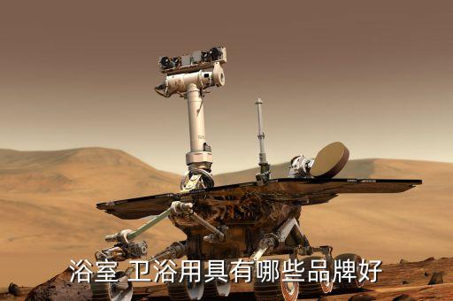浴室 衛(wèi)浴用具有哪些品牌好