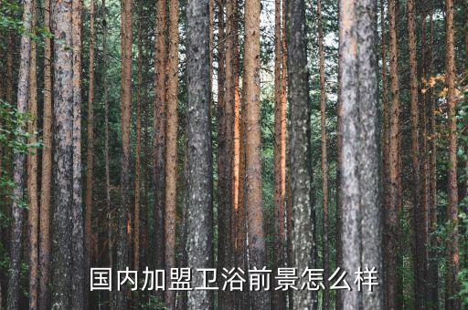 國內(nèi)加盟衛(wèi)浴前景怎么樣
