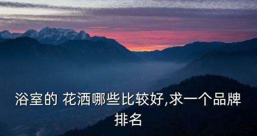 coso衛(wèi)浴花灑怎樣,花灑品牌選擇建議以一線品牌為主