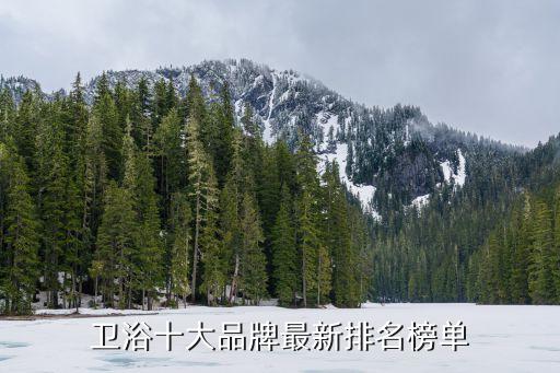 衛(wèi)浴潔具品牌榜,選購衛(wèi)浴產(chǎn)品注意事項(xiàng)一文讀懂