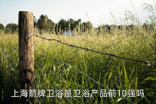 上海箭牌衛(wèi)浴是衛(wèi)浴產(chǎn)品前10強(qiáng)嗎