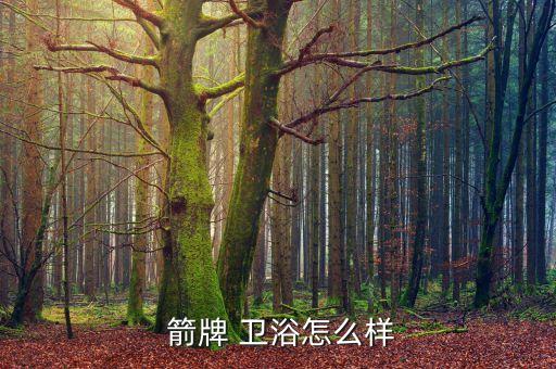 箭牌 衛(wèi)浴怎么樣