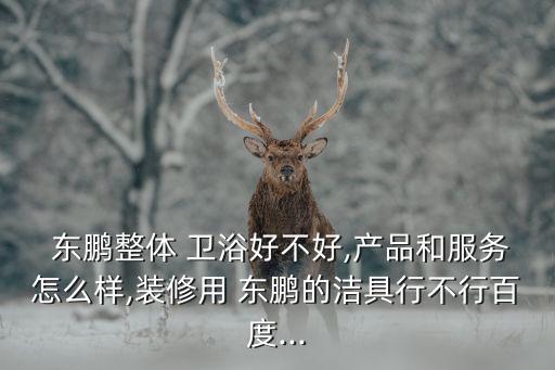東鵬衛(wèi)浴忻州總代理商,東鵬-2/衛(wèi)浴知多少?問(wèn)與答（13）