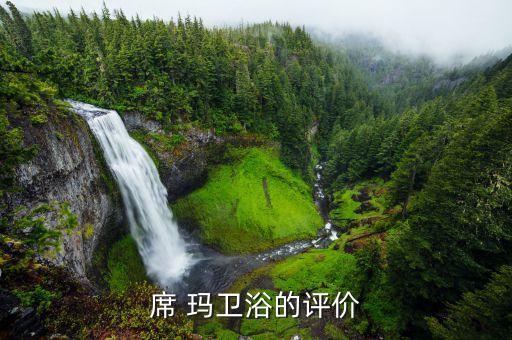 席 瑪衛(wèi)浴的評價