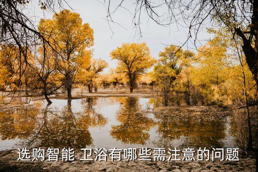 衛(wèi)浴花灑質(zhì)保條款,九牧集團(tuán)全銅淋浴花灑套4.太棒了
