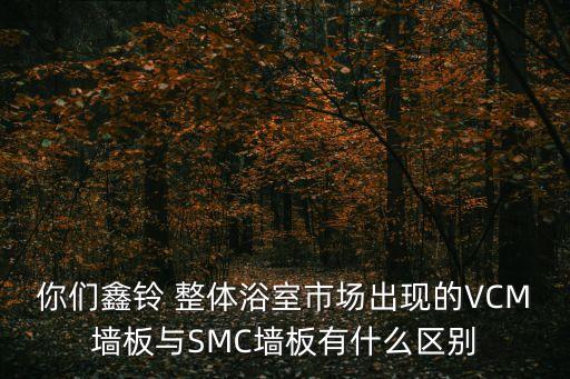 有巢氏 整體衛(wèi)浴,徐榮茂:世茂集團創(chuàng)始人兼董事局主席