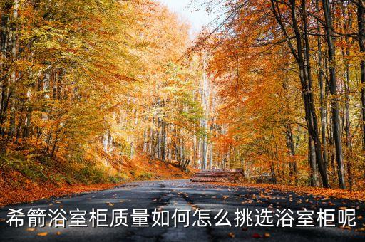 希建衛(wèi)浴,西建衛(wèi)浴成立于2013年是中國十大衛(wèi)浴品牌之一
