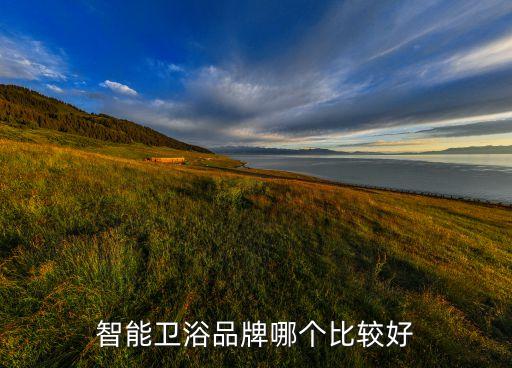 智能衛(wèi)浴品牌哪個(gè)比較好