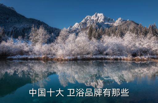 中國十大 衛(wèi)浴品牌有那些