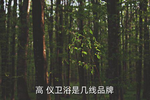 高 儀衛(wèi)浴是幾線品牌