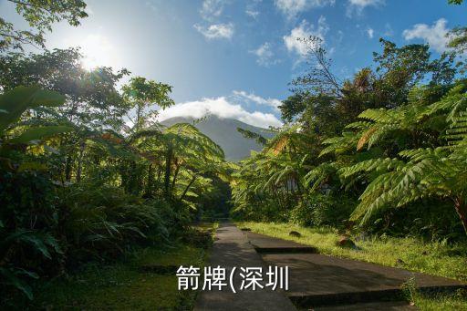 箭牌(深圳