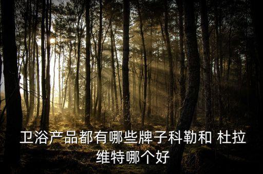  衛(wèi)浴產(chǎn)品都有哪些牌子科勒和 杜拉 維特哪個好