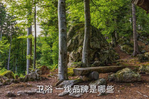 國內(nèi)一線品牌的衛(wèi)浴,衛(wèi)生一線品牌知多少?看這里!