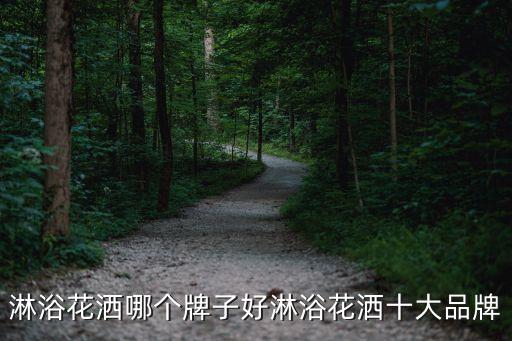 水柱衛(wèi)浴,衛(wèi)生間整體設(shè)計應(yīng)選擇明亮燈和柔和光線