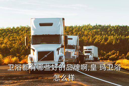 衛(wèi)浴都有哪些好的品牌啊,皇 瑪衛(wèi)浴怎么樣