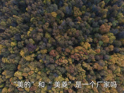 美菱衛(wèi)浴有限公司,中國(guó)美菱冰箱成為首批中國(guó)名牌產(chǎn)品