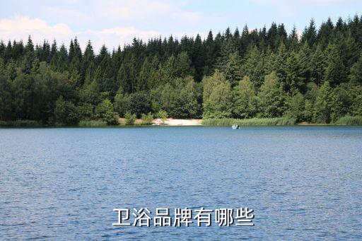 漢舍衛(wèi)浴和特瓷潔具哪個好,選購馬桶要注意什么?