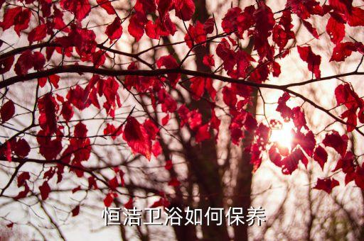  恒潔衛(wèi)浴如何保養(yǎng)