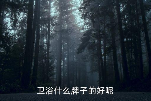 和牌衛(wèi)浴怎么樣,獅牌衛(wèi)浴獲中國十大衛(wèi)浴品牌等多項榮譽