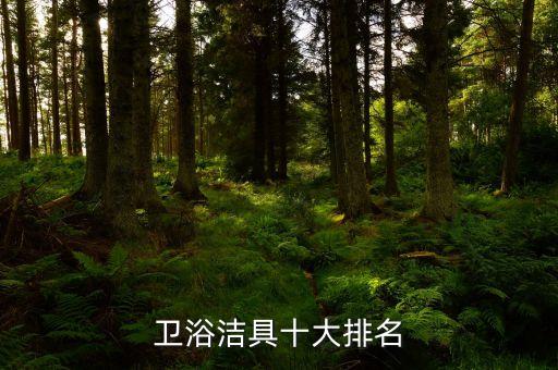 衛(wèi)浴潔具十大排名