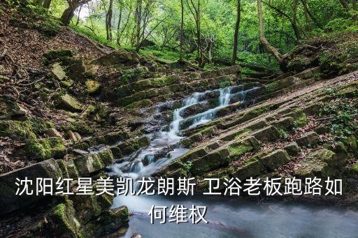 撫州衛(wèi)浴倒閉,紅星美凱龍衛(wèi)浴老板起訴勞動部門江西大黃公司