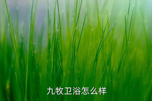 九牧衛(wèi)浴真假,選擇衛(wèi)浴注意事項(xiàng):衛(wèi)生間設(shè)計(jì)符合整體家裝