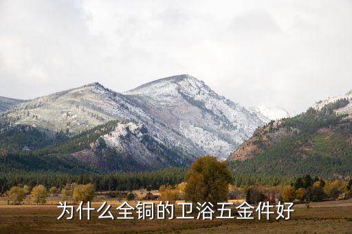 為什么全銅的衛(wèi)浴五金件好