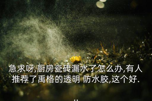 廚衛(wèi)浴防水膠,玉閣無磚防水膠滲透到水泥混凝土基層形成結(jié)晶膜